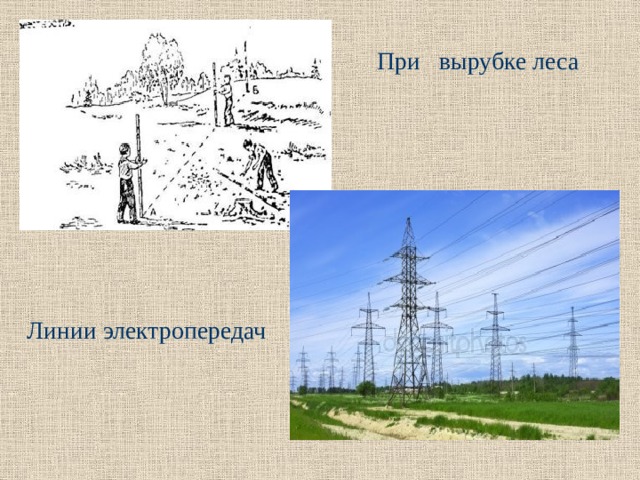  При вырубке леса Линии электропередач 