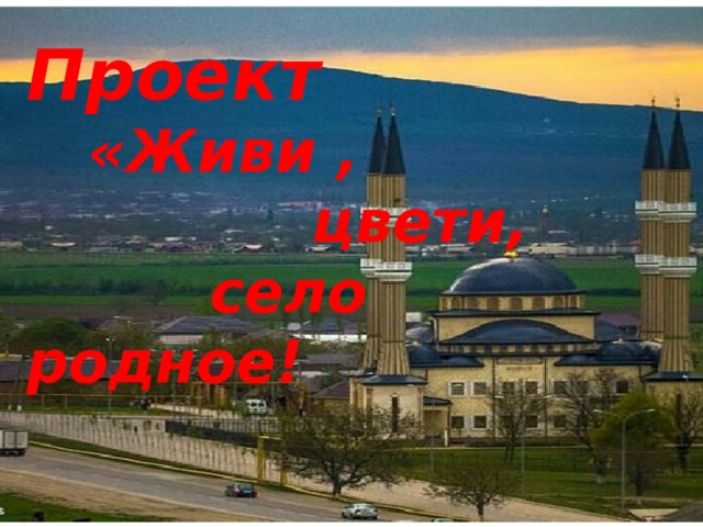 Проект  «Живи ,  цвети,  село родное! 