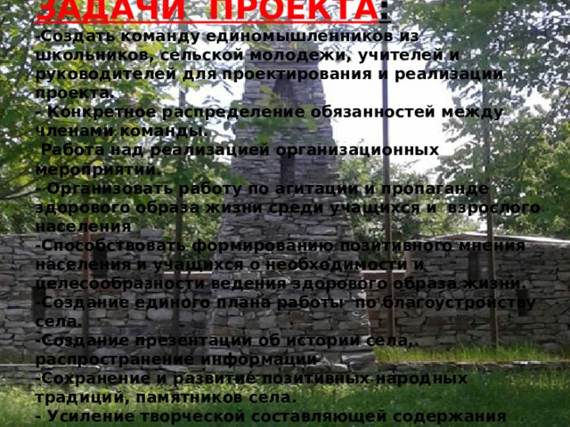ЗАДАЧИ ПРОЕКТА : - Создать команду единомышленников из школьников, сельской молодежи, учителей и руководителей для проектирования и реализации проекта. - Конкретное распределение обязанностей между членами команды.   Работа над реализацией организационных мероприятий. - Организовать работу по агитации и пропаганде здорового образа жизни среди учащихся и взрослого населения -Способствовать формированию позитивного мнения населения и учащихся о необходимости и целесообразности ведения здорового образа жизни. -Создание единого плана работы по благоустройству села. -Создание презентации об истории села, распространение информации -Сохранение и развитие позитивных народных традиций, памятников села. - Усиление творческой составляющей содержания воспитательной деятельности. 
