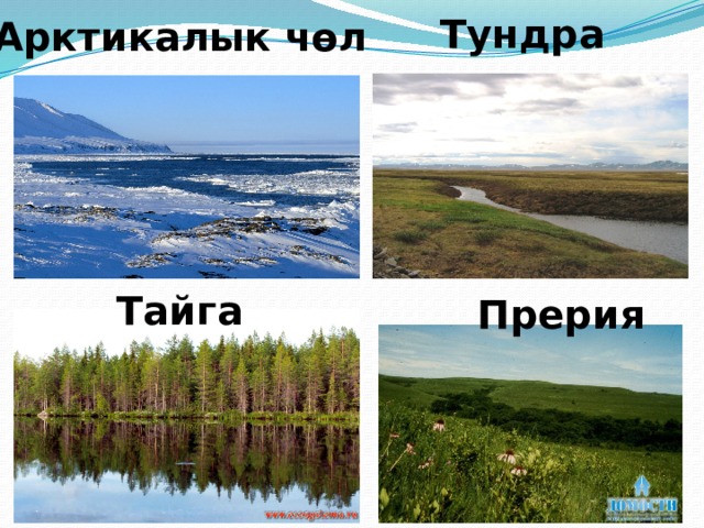  Ниагара шаркыратмасы 