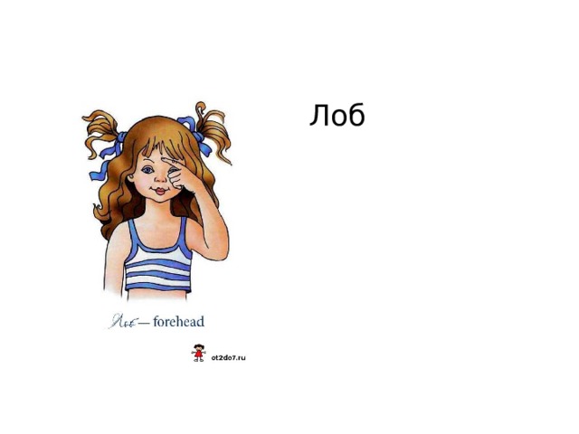 Лоб 