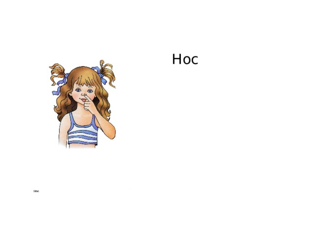 Нос 