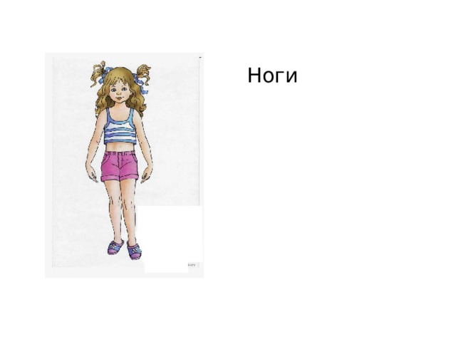 Ноги 
