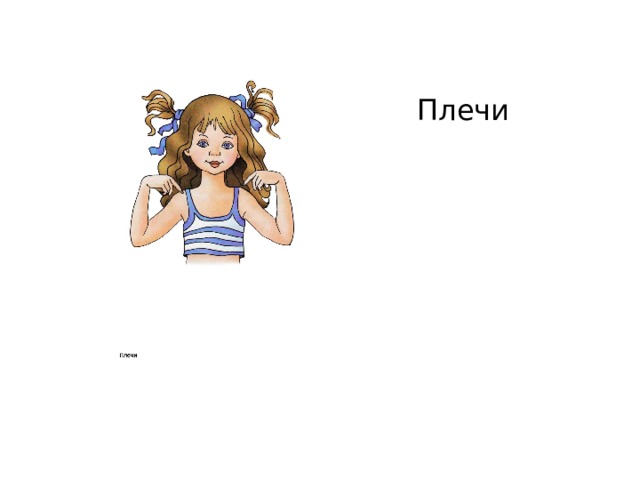Плечи 