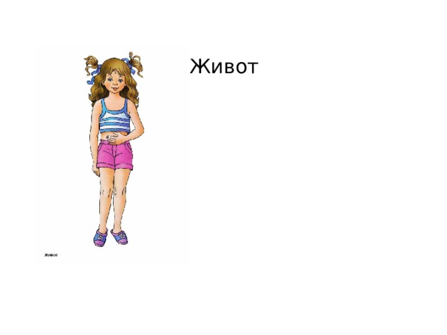 Живот 