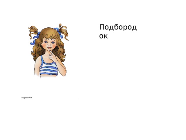Подбородок 