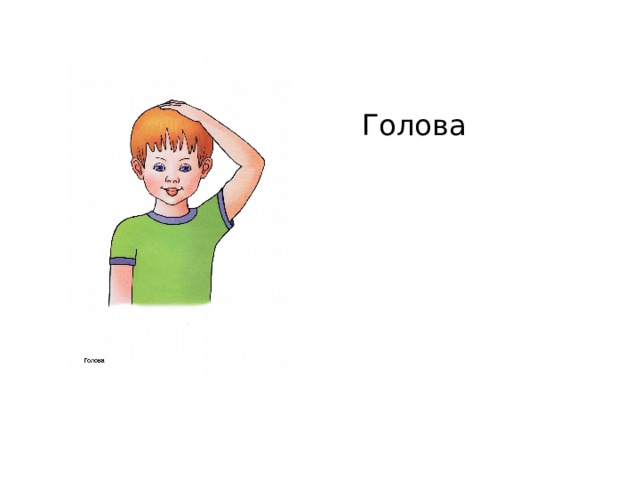 Голова 