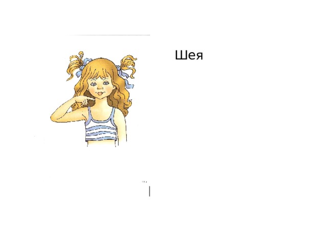 Шея 