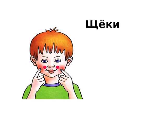 Щёки 
