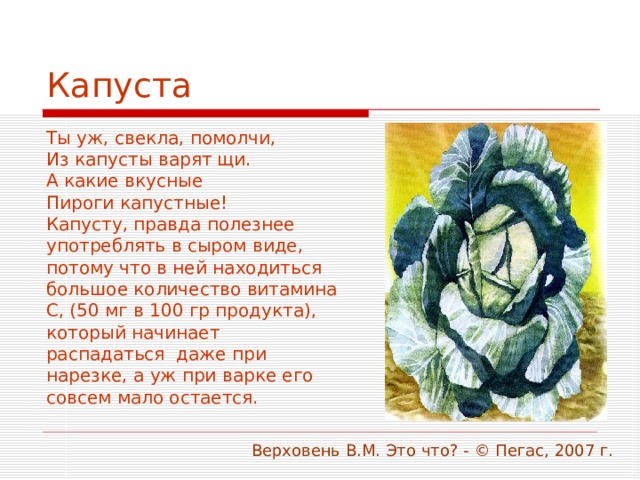 Капуста Ты уж, свекла, помолчи, Из капусты варят щи. А какие вкусные Пироги капустные! Капусту, правда полезнее употреблять в сыром виде, потому что в ней находиться большое количество витамина С, (50 мг в 100 гр продукта), который начинает распадаться даже при нарезке, а уж при варке его совсем мало остается.  Верховень В.М. Это что? - © Пегас, 2007 г. 