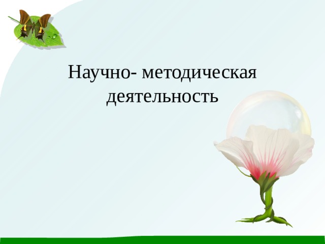 Научно- методическая деятельность 