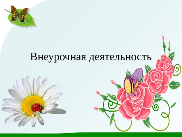Внеурочная деятельность 