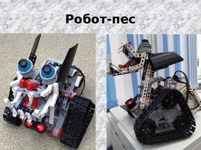 Робот-пес 