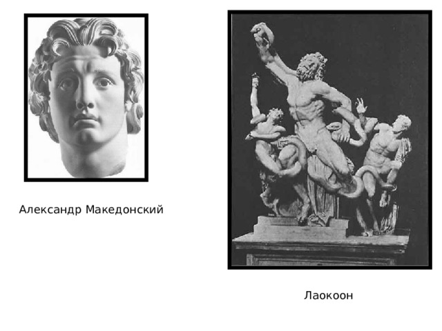 Александр Македонский Лаокоон 