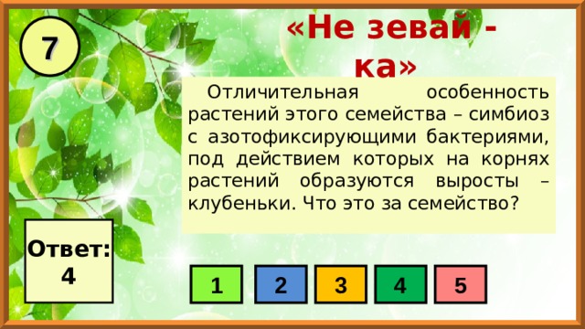 7 «Не зевай - ка» Отличительная особенность растений этого семейства – симбиоз с азотофиксирующими бактериями, под действием которых на корнях растений образуются выросты – клубеньки. Что это за семейство? Ответ: 4 1 2 3 4 5 