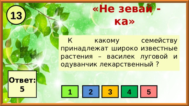 13 «Не зевай - ка» К какому семейству принадлежат широко известные растения – василек луговой и одуванчик лекарственный ? Ответ: 5 1 2 3 4 5 