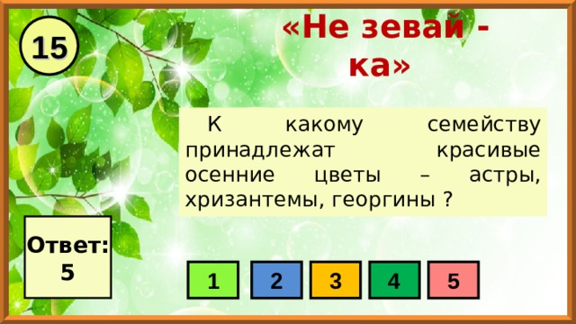 15 «Не зевай - ка» К какому семейству принадлежат красивые осенние цветы – астры, хризантемы, георгины ? Ответ: 5 1 2 3 4 5 