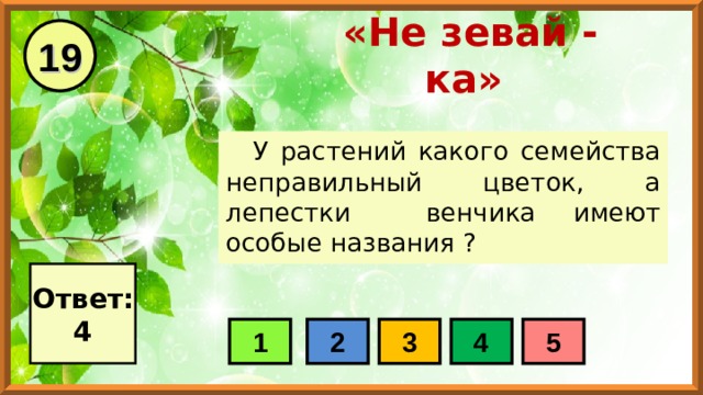 19 «Не зевай - ка» У растений какого семейства неправильный цветок, а лепестки венчика имеют особые названия ? Ответ: 4 1 2 3 4 5 