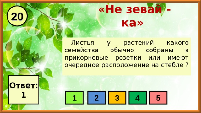 20 «Не зевай - ка» Листья у растений какого семейства обычно собраны в прикорневые розетки или имеют очередное расположение на стебле ? Ответ: 1 1 2 3 4 5 