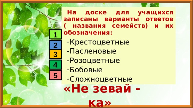 На доске для учащихся записаны варианты ответов ( названия семейств) и их обозначения: Крестоцветные Пасленовые Розоцветные Бобовые Сложноцветные 1 2 3 4 5 «Не зевай - ка» 