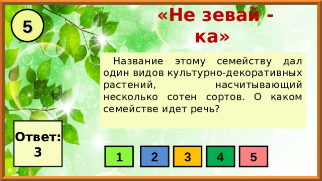 5 «Не зевай - ка» Название этому семейству дал один видов культурно-декоративных растений, насчитывающий несколько сотен сортов. О каком семействе идет речь? Ответ: 3 1 2 3 4 5 
