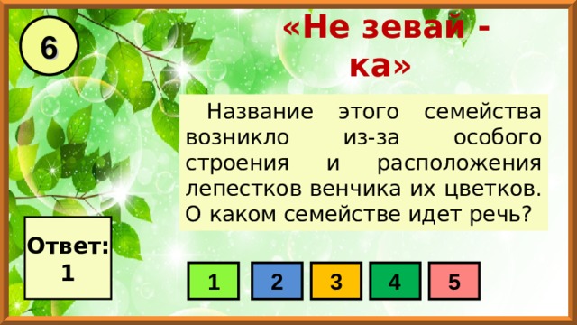 6 «Не зевай - ка» Название этого семейства возникло из-за особого строения и расположения лепестков венчика их цветков. О каком семействе идет речь? Ответ: 1 1 2 3 4 5 