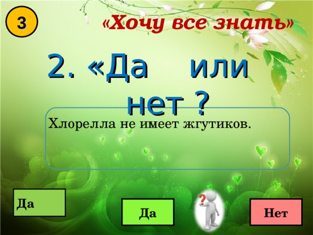 «Хочу все знать» 3 2. «Да или нет ? Хлорелла не имеет жгутиков.  Да  Да Нет 