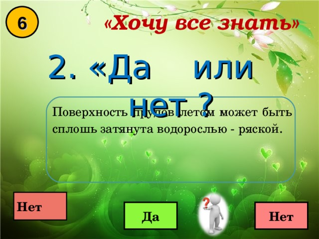 «Хочу все знать» 6 2. «Да или нет ? Поверхность прудов летом может быть сплошь затянута водорослью - ряской .  Нет  Да Нет 