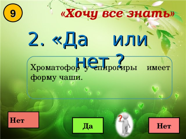 «Хочу все знать» 9 2. «Да или нет ? Хроматофор у спирогиры имеет форму чаши.  Нет  Да Нет 