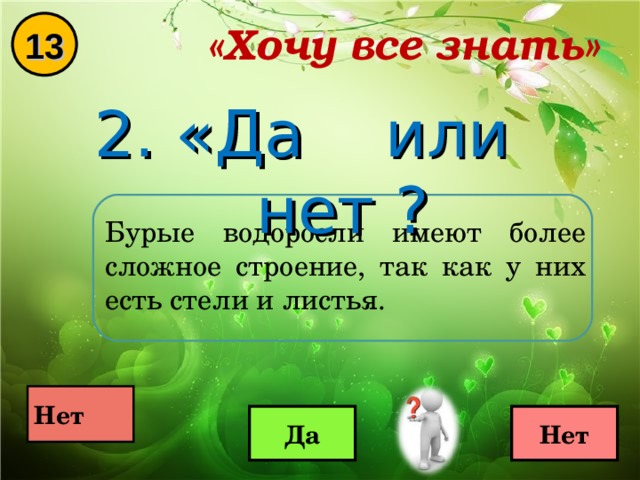 «Хочу все знать» 13 2. «Да или нет ? Бурые водоросли имеют более сложное строение, так как у них есть стели и листья.  Нет  Да Нет 