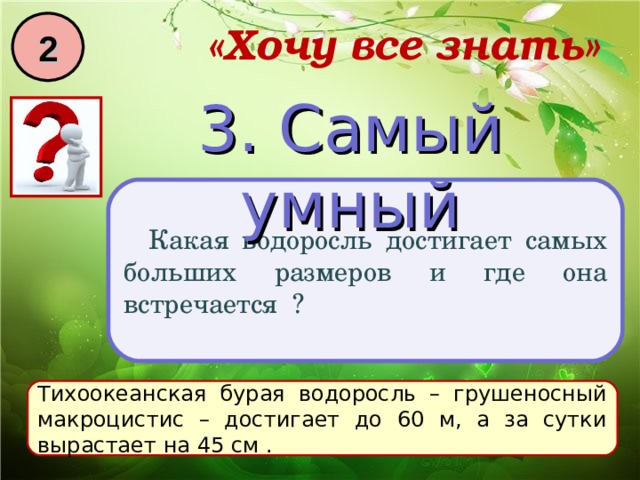 2 «Хочу все знать» 3. Самый умный Какая водоросль достигает самых больших размеров и где она встречается ? Тихоокеанская бурая водоросль – грушеносный макроцистис – достигает до 60 м, а за сутки вырастает на 45 см . 