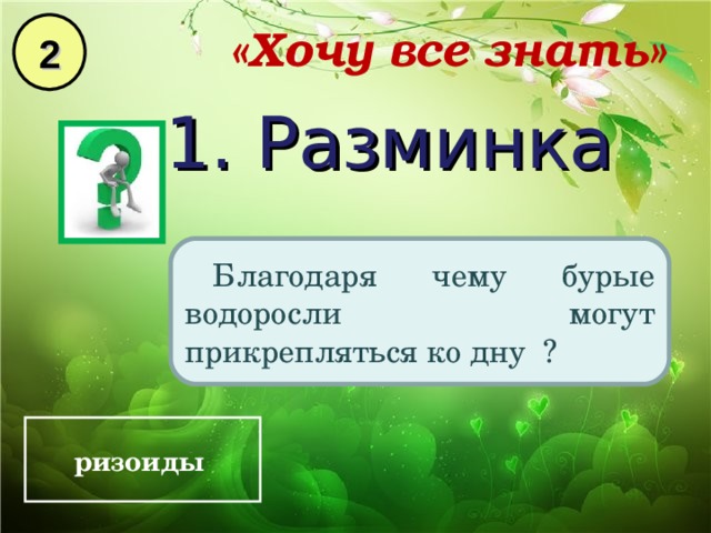 2 «Хочу все знать» 1. Разминка Благодаря чему бурые водоросли могут прикрепляться ко дну ? ризоиды  