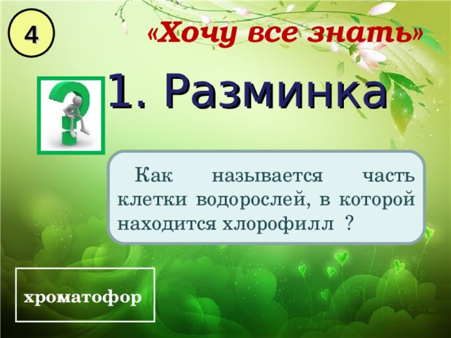 4 «Хочу все знать» 1. Разминка Как называется часть клетки водорослей, в которой находится хлорофилл ? хроматофор  