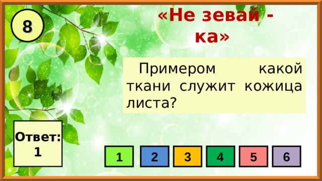 8 «Не зевай - ка» Примером какой ткани служит кожица листа? Ответ: 1 1 2 3 4 5 6 