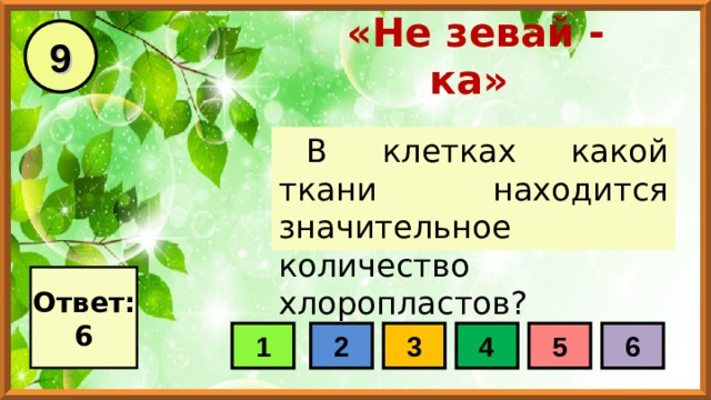 9 «Не зевай - ка» В клетках какой ткани находится значительное количество хлоропластов? Ответ: 6 1 2 3 4 5 6 