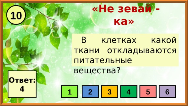 10 «Не зевай - ка» В клетках какой ткани откладываются питательные вещества? Ответ: 4 1 2 3 4 5 6 