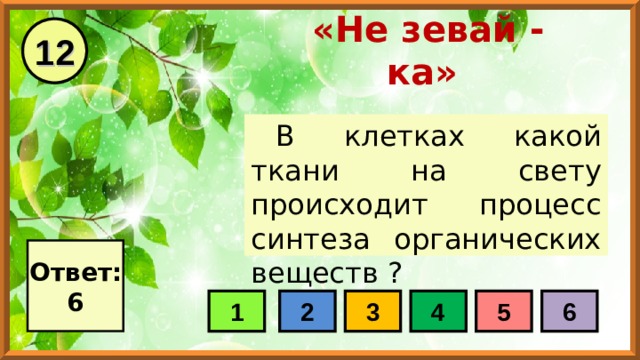 12 «Не зевай - ка» В клетках какой ткани на свету происходит процесс синтеза органических веществ ? Ответ: 6 1 2 3 4 5 6 