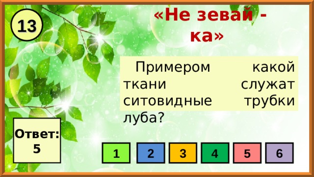 13 «Не зевай - ка» Примером какой ткани служат ситовидные трубки луба? Ответ: 5 1 2 3 4 5 6 