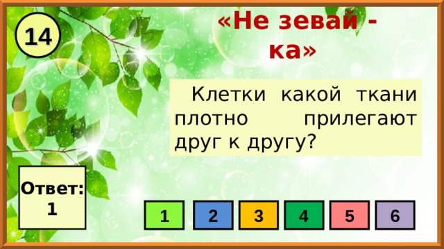 14 «Не зевай - ка» Клетки какой ткани плотно прилегают друг к другу? Ответ: 1 1 2 3 4 5 6 