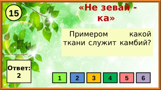 15 «Не зевай - ка» Примером какой ткани служит камбий? Ответ: 2 1 2 3 4 5 6 