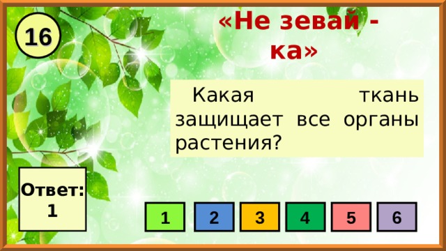 16 «Не зевай - ка» Какая ткань защищает все органы растения? Ответ: 1 1 2 3 4 5 6 