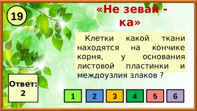 19 «Не зевай - ка» Клетки какой ткани находятся на кончике корня, у основания листовой пластинки и междоузлия злаков ? Ответ: 2 1 2 3 4 5 6 