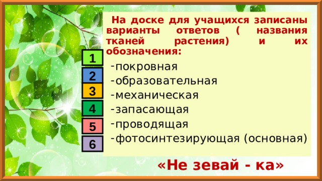 На доске для учащихся записаны варианты ответов ( названия тканей растения) и их обозначения: покровная образовательная механическая запасающая проводящая фотосинтезирующая (основная) 1 2 3 4 5 6 «Не зевай - ка» 