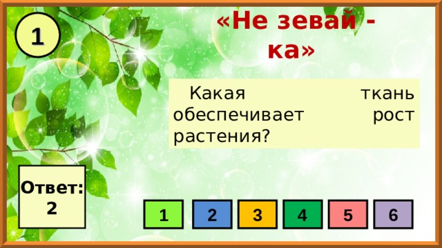1 «Не зевай - ка» Какая ткань обеспечивает рост растения? Ответ: 2 1 2 3 4 5 6 
