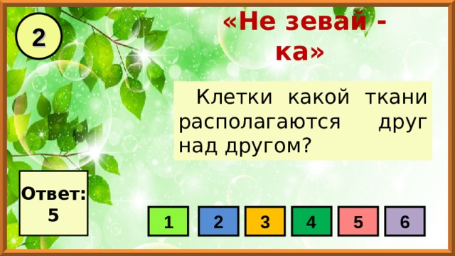 2 «Не зевай - ка» Клетки какой ткани располагаются друг над другом? Ответ: 5 1 2 3 4 5 6 