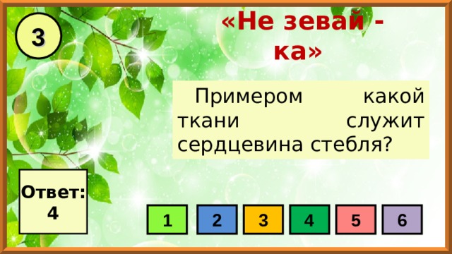 3 «Не зевай - ка» Примером какой ткани служит сердцевина стебля? Ответ: 4 1 2 3 4 5 6 