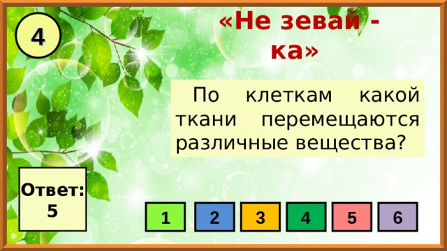 4 «Не зевай - ка» По клеткам какой ткани перемещаются различные вещества? Ответ: 5 1 2 3 4 5 6 