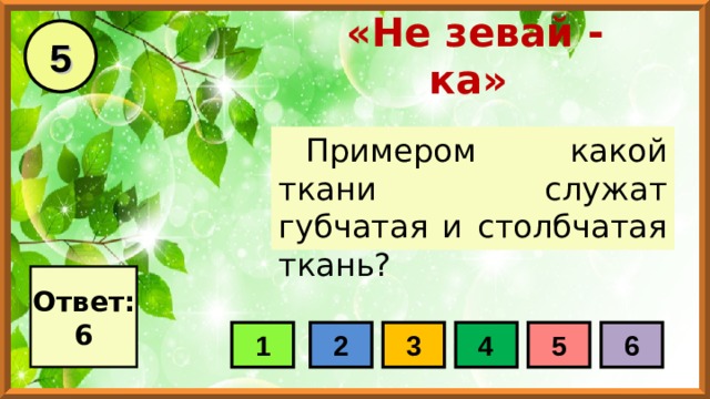 5 «Не зевай - ка» Примером какой ткани служат губчатая и столбчатая ткань? Ответ: 6 1 2 3 4 5 6 