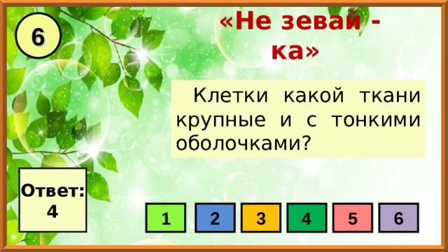 6 «Не зевай - ка» Клетки какой ткани крупные и с тонкими оболочками? Ответ: 4 1 2 3 4 5 6 