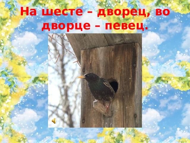На шесте – дворец, во дворце – певец. 